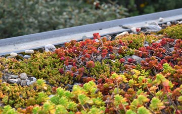 the cost of Mannerston green roof installation