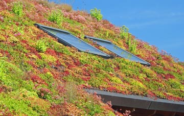 Mannerston living roof systems