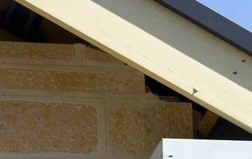 soffit repair Mannerston