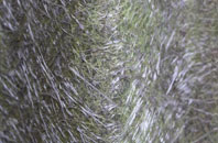 Mannerston fibreglass roof work